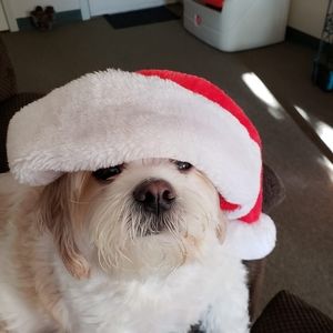 Meet your Posher, Renee